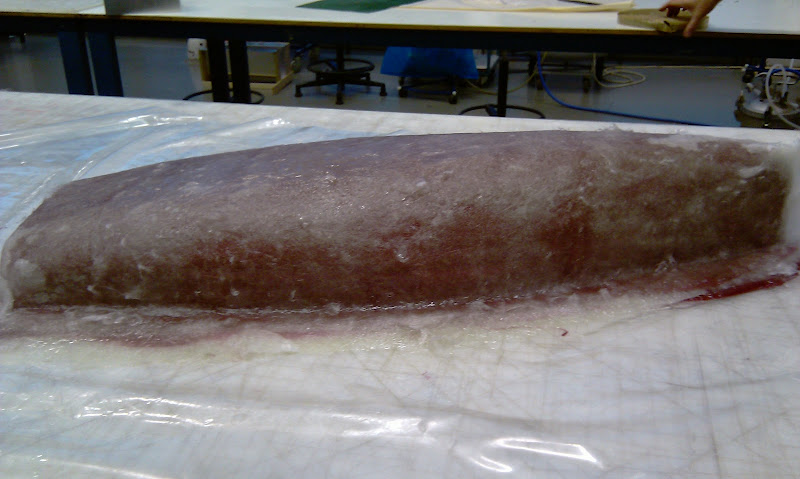 IMAG0155.jpg