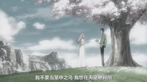 我不要當籠中之鳥　我想在天空中翱翔