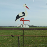 DSCF2462.JPG
