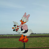 DSCF2453.JPG