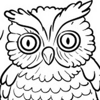 OwlSmall.gif.jpg