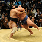 Flying rikishi