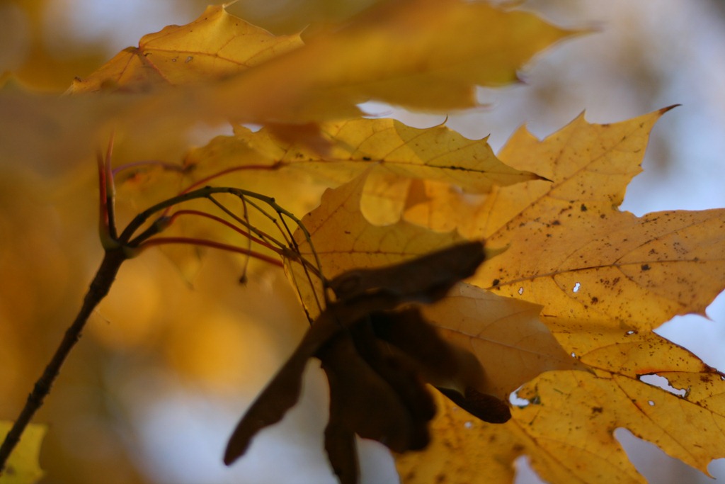 [110[4].jpg]