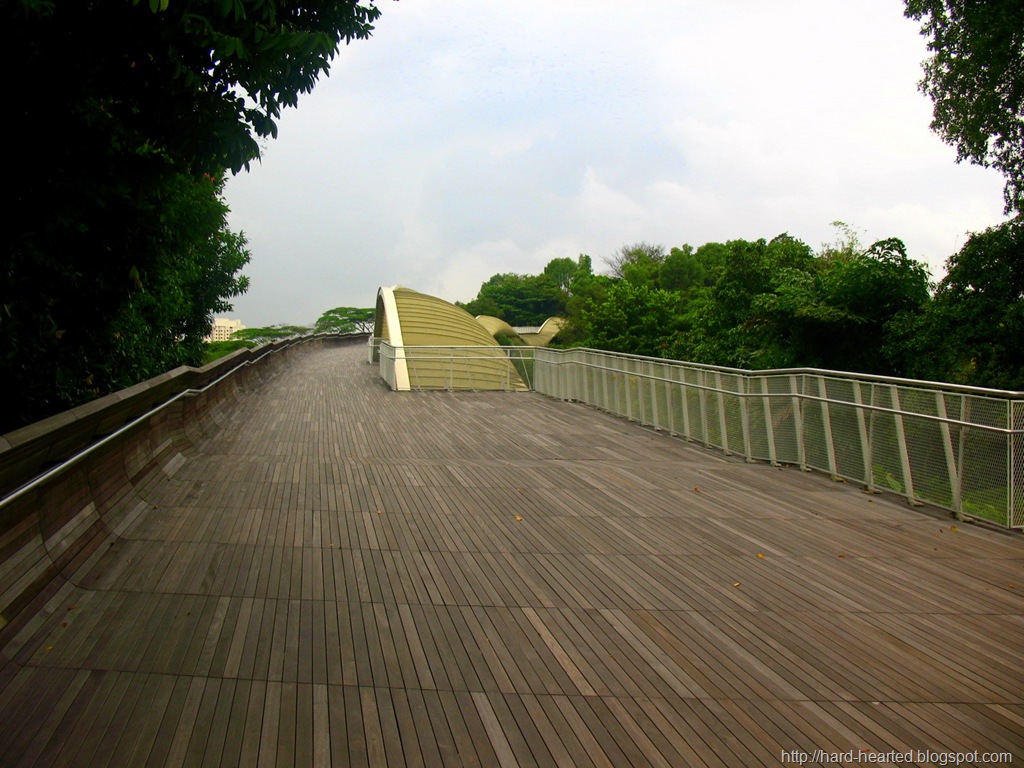 [IMG_0088-1.jpg]