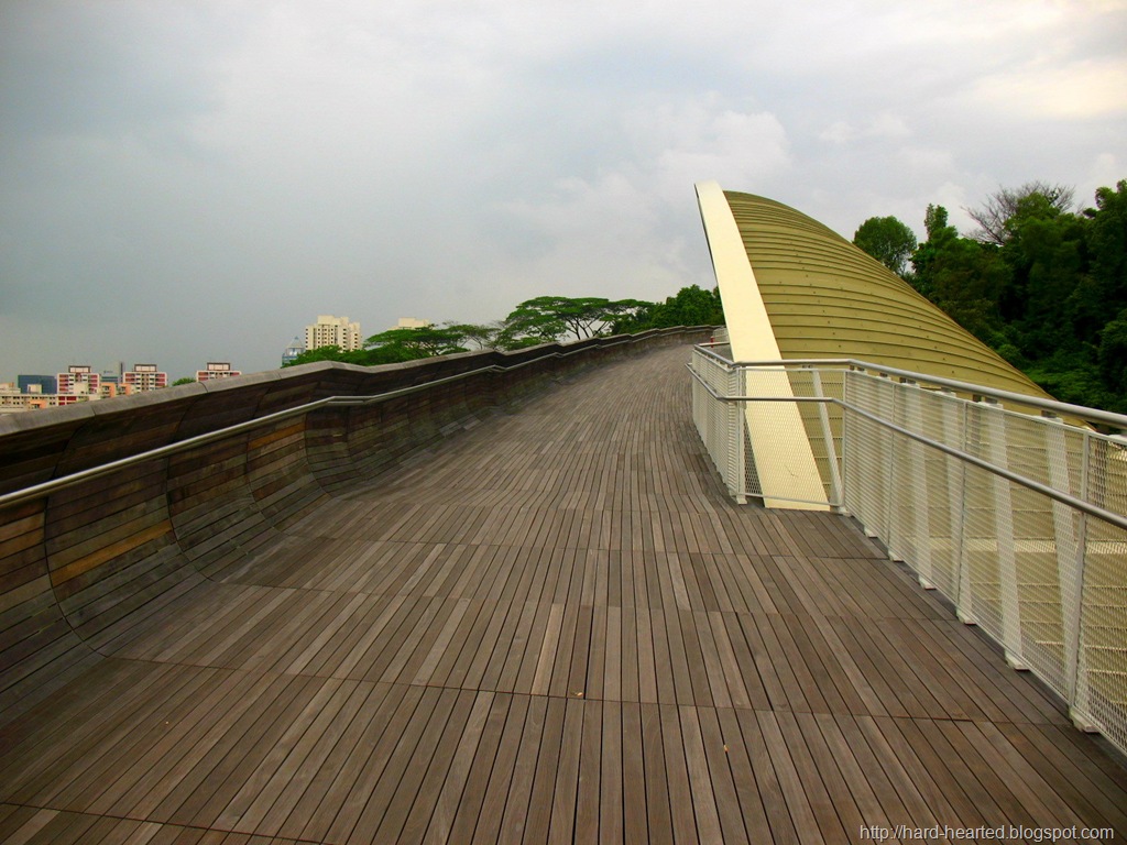 [IMG_0093-3.jpg]