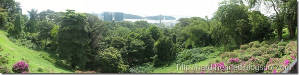 mountfaber