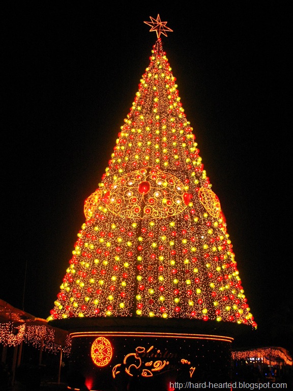[IMG_0355-1.jpg]
