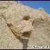 detail_752DSC05080.jpg