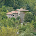 P1000217.JPG