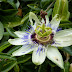 P1000224.JPG