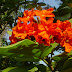 DSC00779.JPG