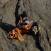 DSC00894.JPG