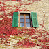 P1050081.JPG
