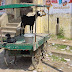 DSC01131.JPG