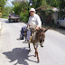 P1040006.JPG