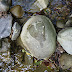 P1000235.JPG