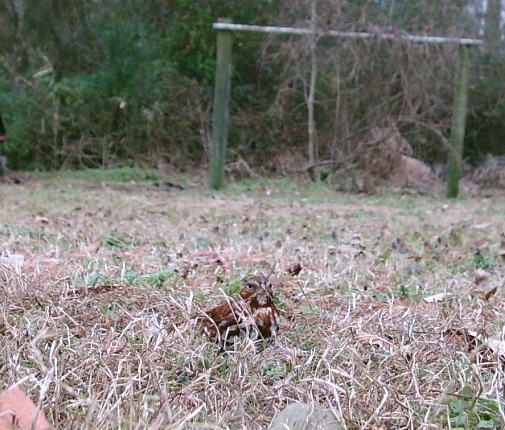 [WSBC04358.jpg]