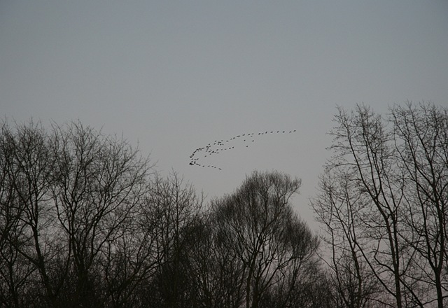 [IMG_27997.jpg]