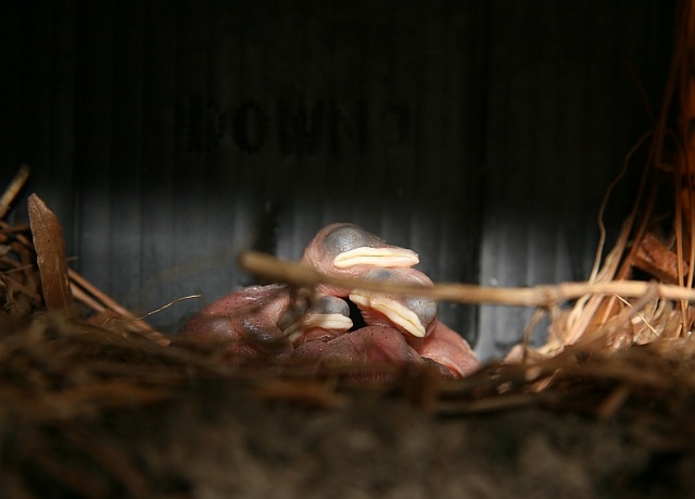 [IMG_391614.jpg]