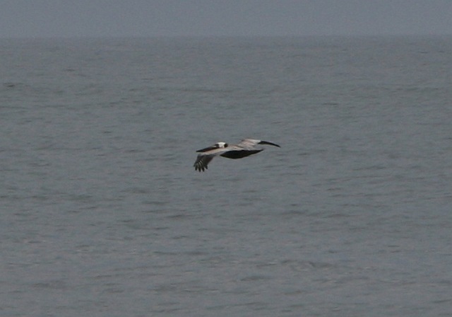 [IMG_14297.jpg]