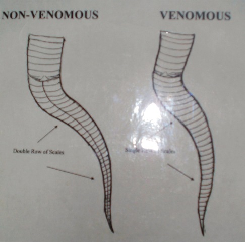 [Chart3.jpg]