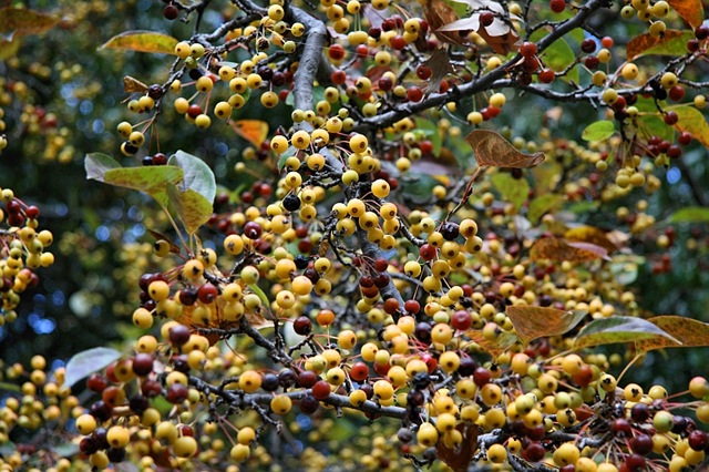 [IMG_80173.jpg]