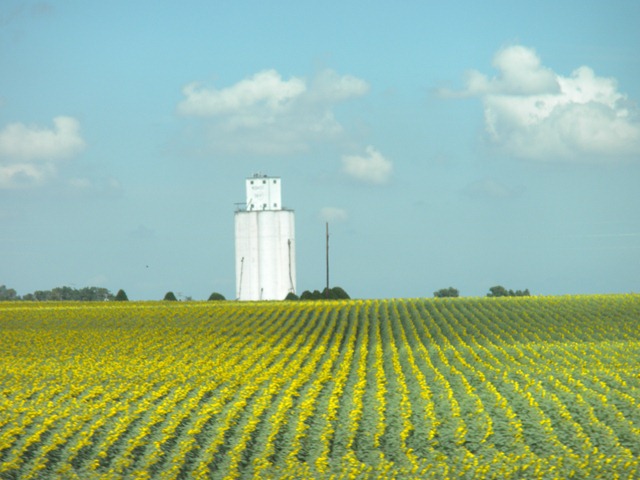 [DSCN20022.jpg]