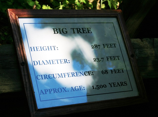 [Sign at THE BIG TREE 2[2].jpg]