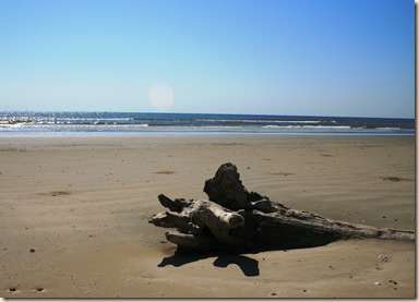 Driftwood 2