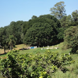 DSC02904.JPG