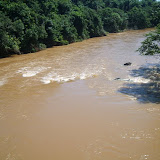 S8006024.JPG