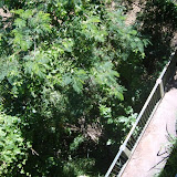 S8006051.JPG
