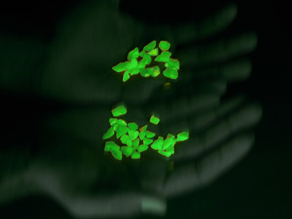 [clip_image001[1][5].png]