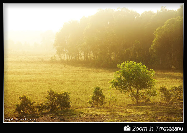 morning mist at Bukit Berangan picture