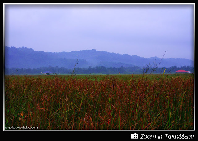 field and hills picture