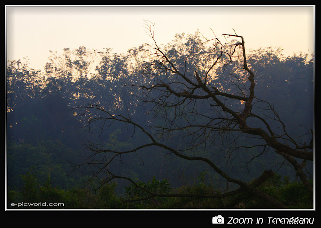 Mysterious silhouette