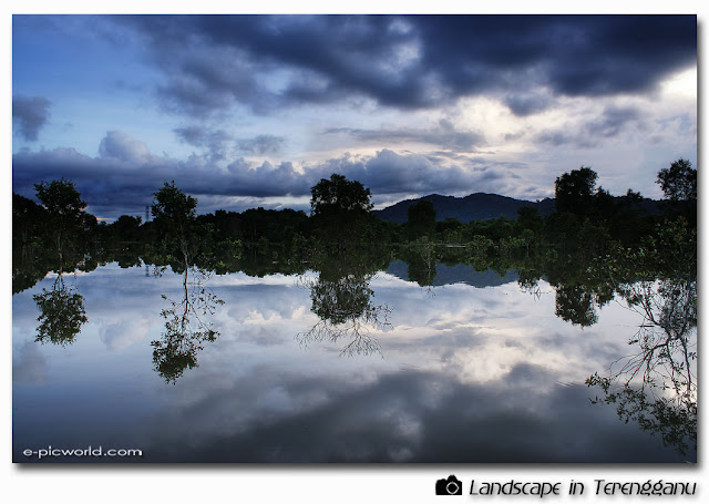 flood reflection picture