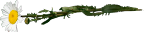 bloginappeja yms.