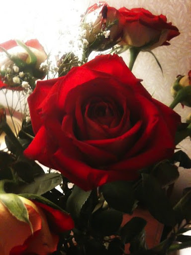 Valentine's Day | Cleveland, OH | iCarabout.com