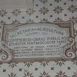 CIMG9082.JPG