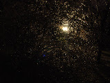 DSC08168.JPG