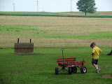 Gavin and His Wagon