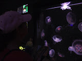 Toledo Zoo 2006 147.jpg