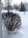 021407 Import 238.JPG