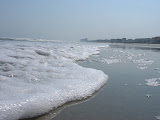 DSC05735.JPG