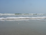 DSC05747.JPG