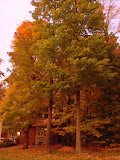 DSC08006.JPG