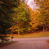 Around the House 2007