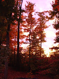 DSC08021.JPG