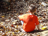 DSC07831.JPG